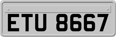 ETU8667