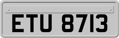ETU8713