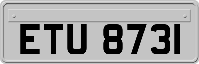 ETU8731