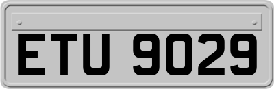 ETU9029