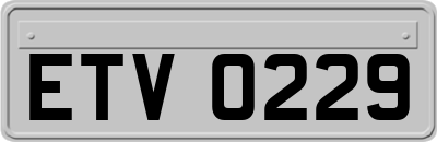 ETV0229