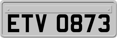 ETV0873
