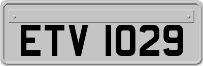 ETV1029