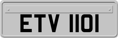 ETV1101