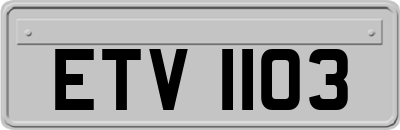 ETV1103