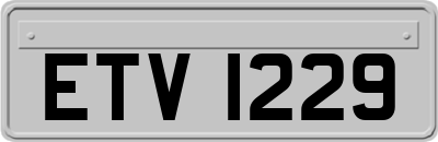 ETV1229