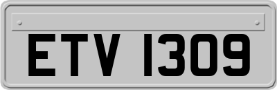 ETV1309