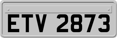 ETV2873