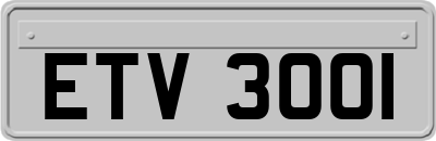 ETV3001