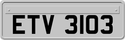 ETV3103