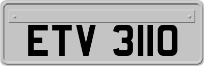ETV3110