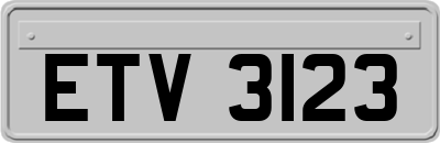 ETV3123