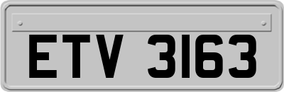 ETV3163