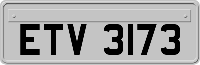 ETV3173