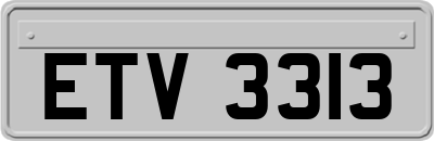 ETV3313
