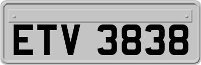 ETV3838