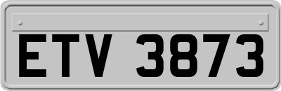 ETV3873