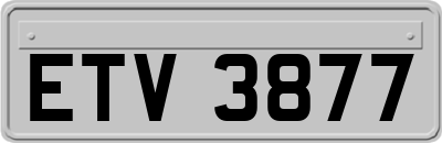 ETV3877
