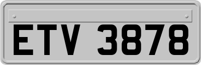 ETV3878