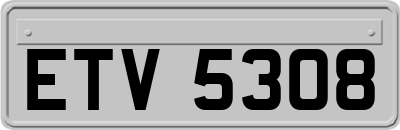 ETV5308