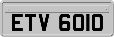 ETV6010
