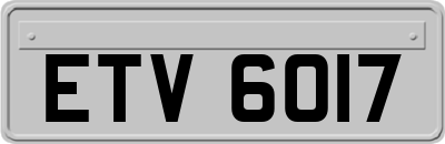 ETV6017