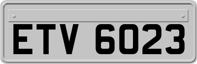 ETV6023