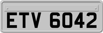 ETV6042