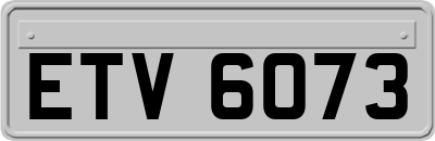 ETV6073