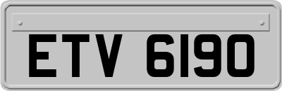 ETV6190