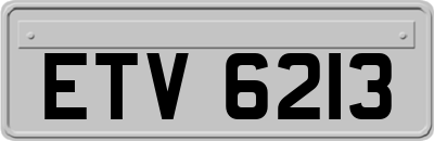 ETV6213
