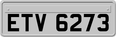ETV6273