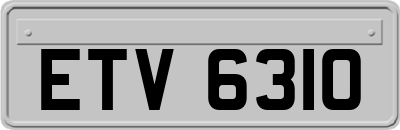 ETV6310