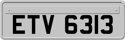 ETV6313