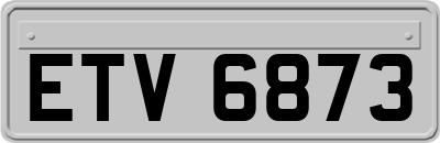 ETV6873