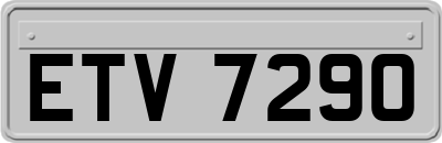ETV7290