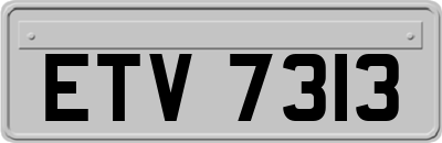 ETV7313