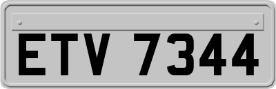 ETV7344
