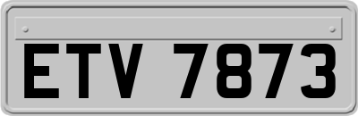 ETV7873