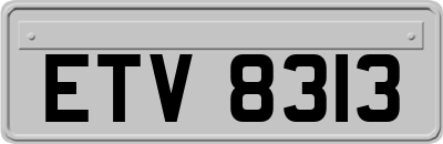 ETV8313
