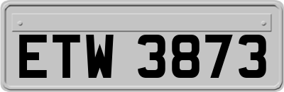 ETW3873