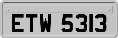 ETW5313