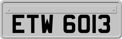 ETW6013