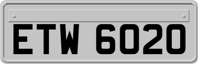 ETW6020