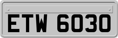 ETW6030