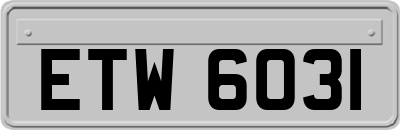 ETW6031