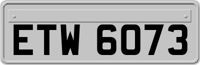 ETW6073