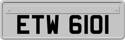 ETW6101