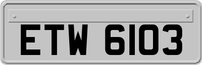 ETW6103