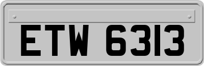 ETW6313
